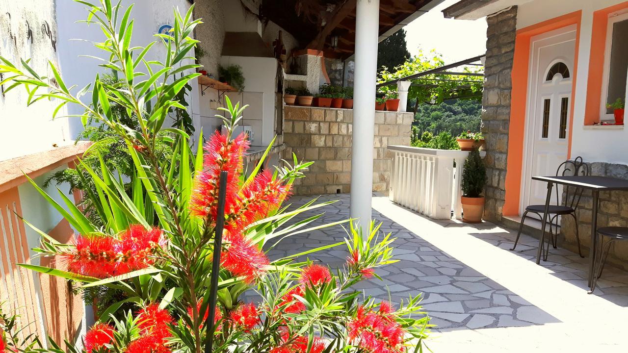 Apartments Okuka Tivat Exteriér fotografie